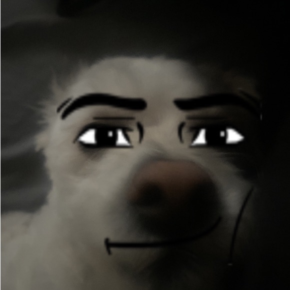 doctorpaws